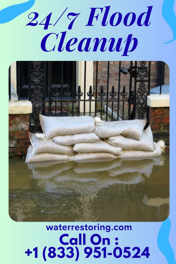 24/7 Flood Cleanup in Cleary, MS