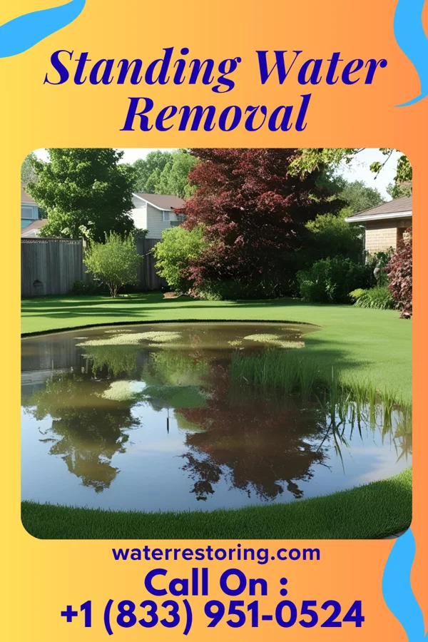 Standing Water Removal in Cleary, MS